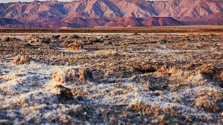 Se extravían 5 cineastas en desierto de BC; trabajaban con el hijo de Alfonso Cuarón