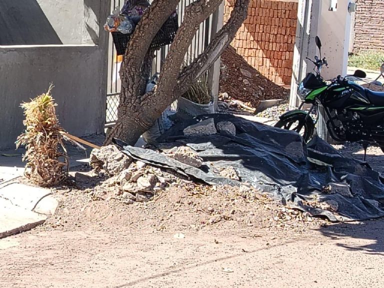 En Villas del Rey, piden mejora de servicios y apoyo contra vecinos que ensucian la colonia