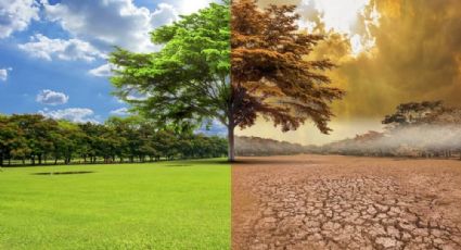 Día contra el Cambio climático: ¿Por qué se conmemora el 24 de octubre? Origen