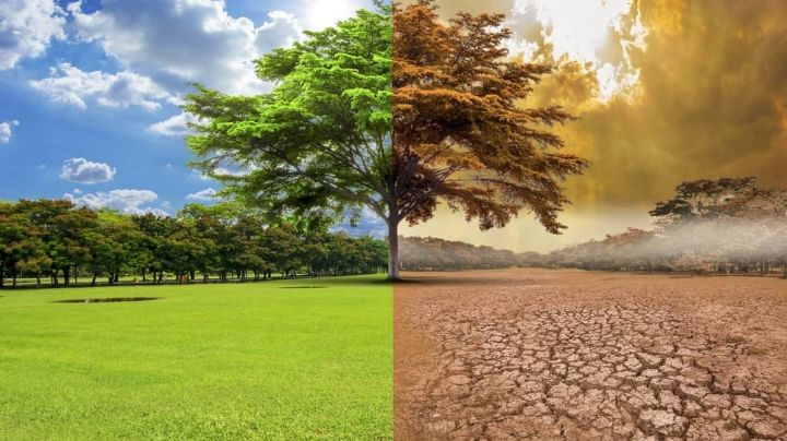 Día contra el Cambio climático: ¿Por qué se conmemora el 24 de octubre? Origen
