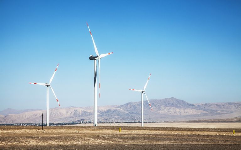 Día contra el Cambio Climático