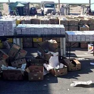 Descubren en Sonora más de 900 kilos de cocaína escondidos en cargamento de papayas