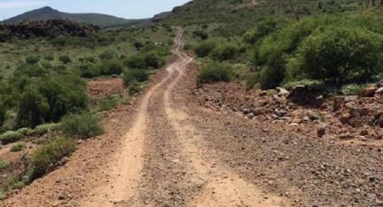 Hallan dos cuerpos violentados en camino de terracería de Guanajuato; esto se sabe