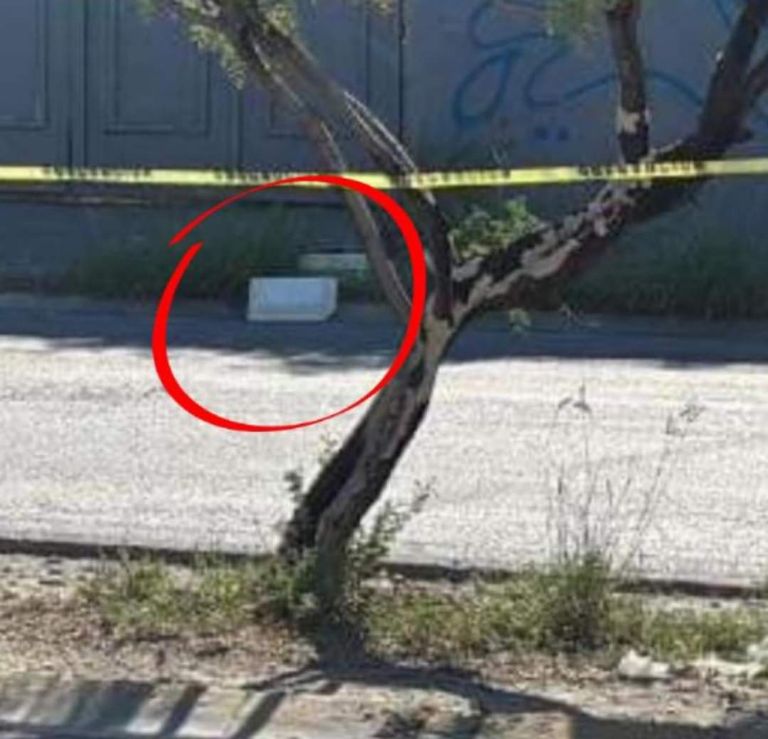 Hallan restos humanos en Nuevo León. Foto: Facebook