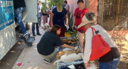 Autoridades llevan jornada de salud animal a la Machi López en Cajeme