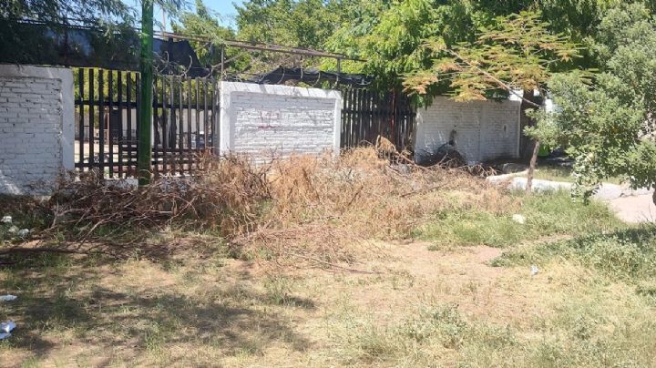 Áreas verdes de la zona sur de Ciudad Obregón sufren de abandono