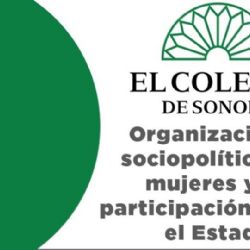 Organizaciones sociopolíticas de mujeres y su participación real en el Estado 