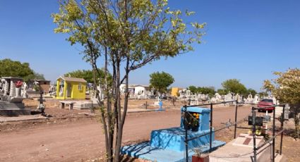 Clima en Ciudad Obregón hoy 1 noviembre: Día de los Santos con bajas temperaturas, sin lluvia