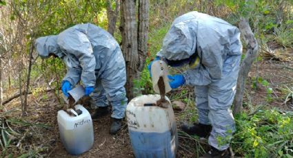 Descubren narcolaboratorio en área serrana de Sinaloa; aseguran 35 kilos de metanfetamina