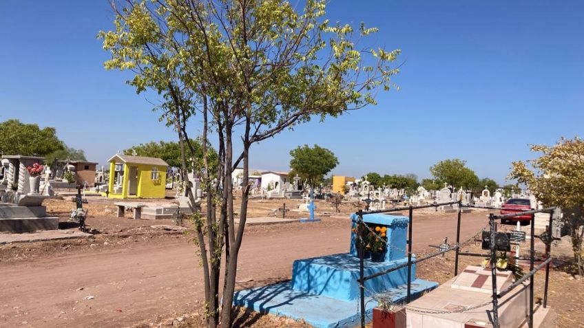 Clima en Ciudad Obregón hoy 1 noviembre: Día de los Santos con bajas temperaturas, sin lluvia