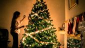 Foto ilustrativa de la nota titulada ¿Cuál es la fecha ideal para montar el arbolito de Navidad? ¡Que no te agarren las prisas!