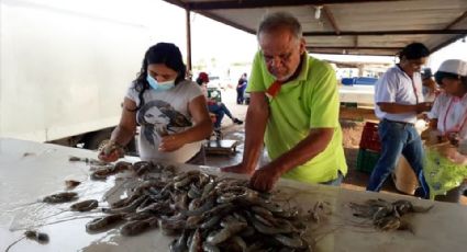 Captura de camarón se reduce 40% en Guaymas y Empalme, revelan autoridades pesqueras