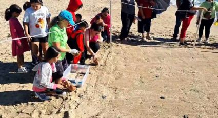 Tortugas marinas son liberadas por niños en la playa Miramar de Guaymas