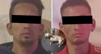 Vinculan a dos por amarrar a perritos en una moto y arrastrarlos en la Álvaro Obregón