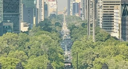 Clima en CDMX hoy 19 de noviembre: Conagua en alerta por bajas temperaturas