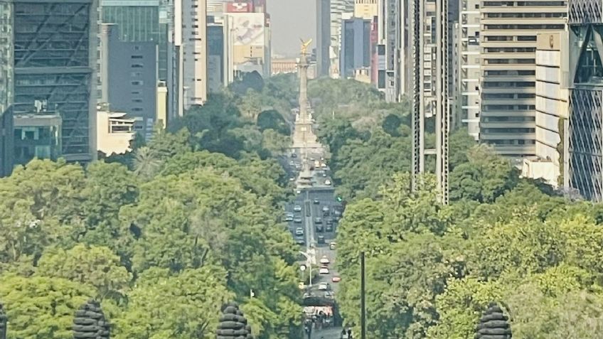 Clima en CDMX hoy 19 de noviembre: Conagua en alerta por bajas temperaturas