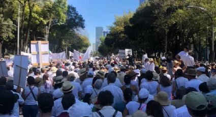 Tráfico en CDMX: Se espera caos por marchas y bloqueos este 20 de noviembre en la capital