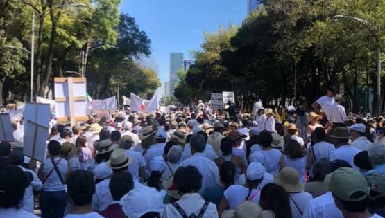 Tráfico en CDMX: Se espera caos por marchas y bloqueos este 20 de noviembre en la capital