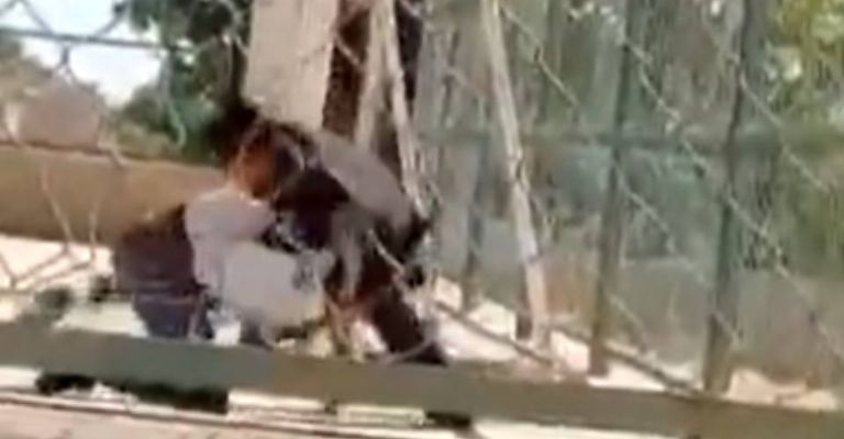 Los jóvenes también llegaron a los golpes 