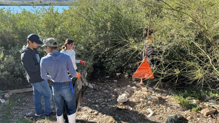 Estudiantes guaymenses van por el rescate de manglares en el Puerto