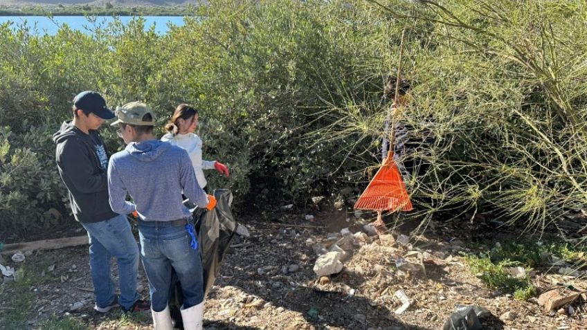 Estudiantes guaymenses van por el rescate de manglares en el Puerto
