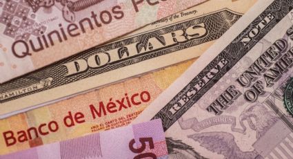 Precio del dólar HOY domingo 24 de noviembre: Divisa de EU sigue sobre el Peso Mexicano