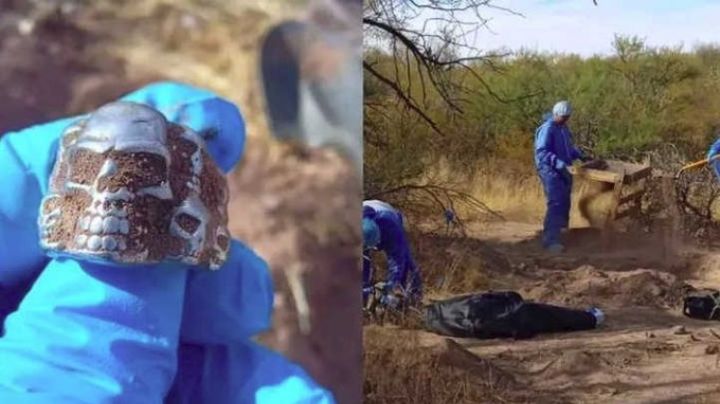 Descubren restos humanos de 4 personas en fosa clandestina en Santa Ana, Sonora