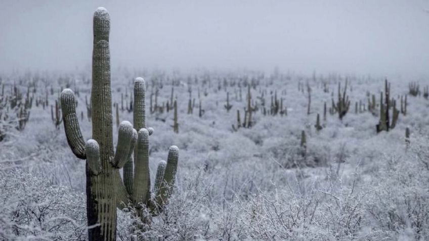 Clima en Sonora HOY 25 de noviembre: Circulación anticiclónica provocará heladas; Conagua