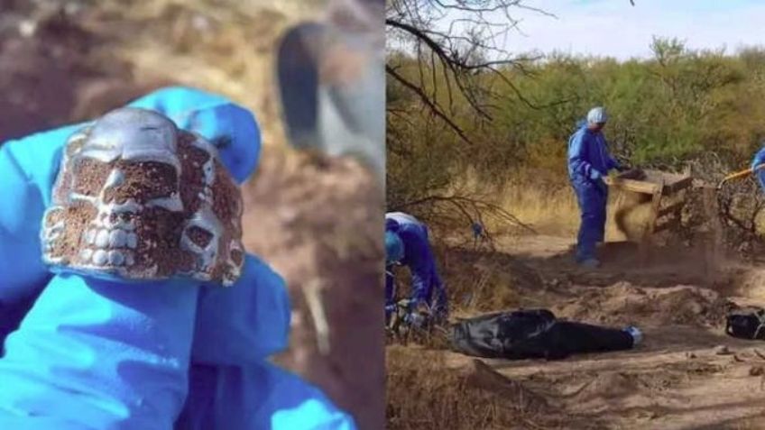 Descubren restos humanos de 4 personas en fosa clandestina en Santa Ana, Sonora