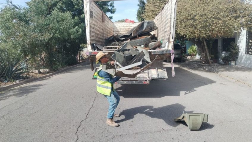 En Cajeme los casos de dengue aumentan en un mil por ciento en dos meses