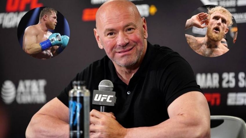 Dana White revela su desalentador pronóstico para Jake Paul si enfrenta a 'Canelo'