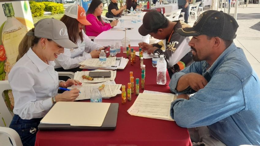 Desempleo, uno de los principales retos a vencer este 2025 en el municipio de Navojoa