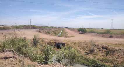 Productores del Valle del Yaqui no ven redituable las actuales condiciones de siembra