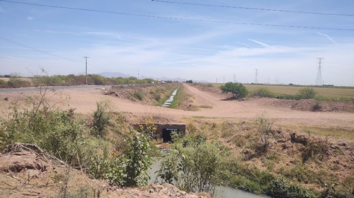 Productores del Valle del Yaqui no ven redituable las actuales condiciones de siembra
