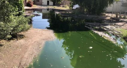 Vecinos de la colonia Ampliación Beltrones en Navojoa viven sumergidos entre aguas negras