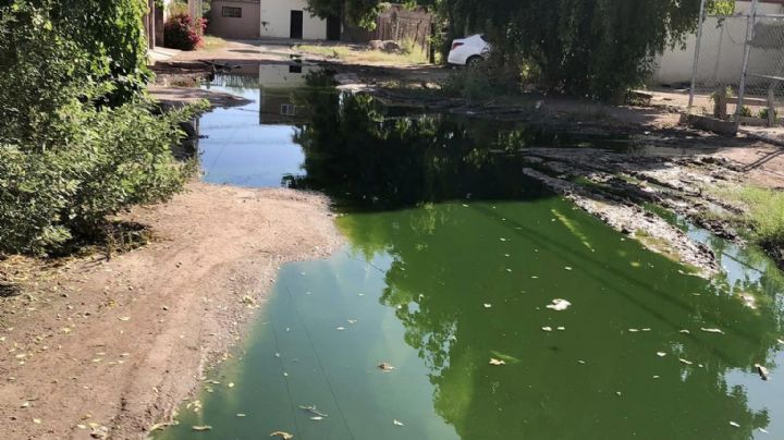 Vecinos de la colonia Ampliación Beltrones en Navojoa viven sumergidos entre aguas negras