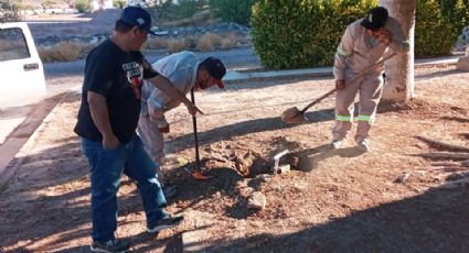 CEA Guaymas pone en marcha cortes a usuarios morosos; realizan 48 en el primer día