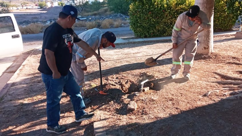 CEA Guaymas pone en marcha cortes a usuarios morosos; realizan 48 en el primer día