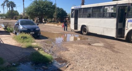 16 colonias de Ciudad Obregón concentra el mayor número de reportes de drenajes colapsados