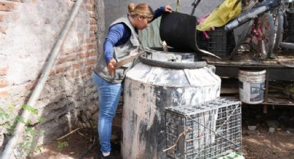 Comunidades rurales de Guaymas 'picadas' por el dengue; suman más de 100 casos