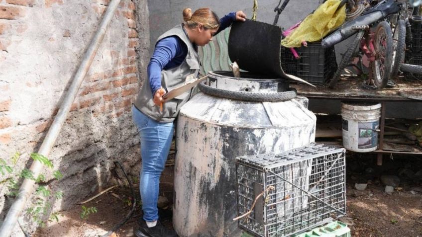 Comunidades rurales de Guaymas 'picadas' por el dengue; suman más de 100 casos