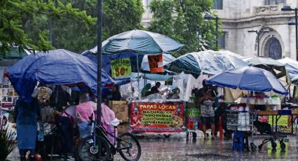 Gobierno aprobaría el comercio ambulante en la Alameda con estas medidas