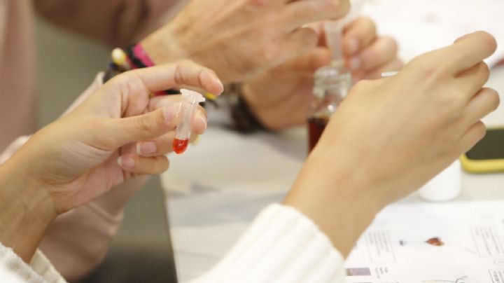 Cártel de Sinaloa: El reclutamiento de estudiantes de química para la producción de fentanilo