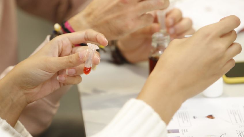 Cártel de Sinaloa: El reclutamiento de estudiantes de química para la producción de fentanilo