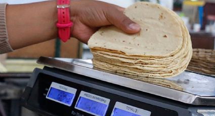 Sonora tiene la tortilla más cara de México; promedia un costo de $29.71 por kilo