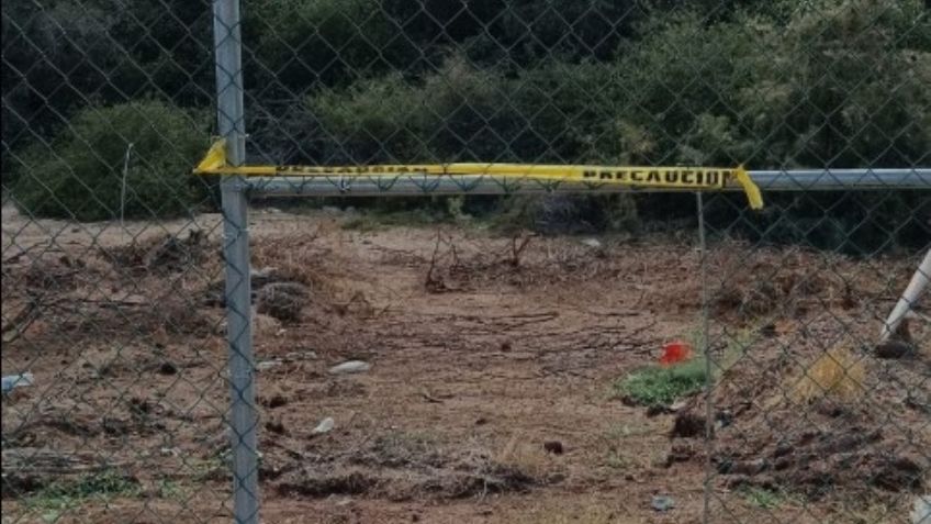 Tras presión de ambientalistas, Gobierno de Sonora acepta retirar cerco junto a El Tular