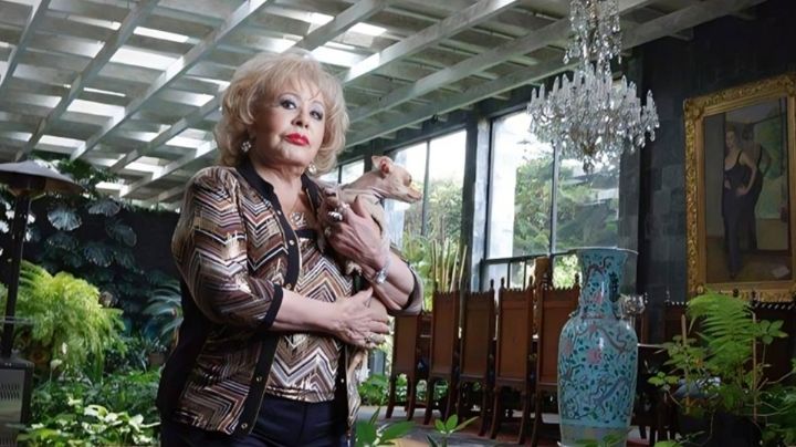 "Lloraba": Acusan a productor de maltratar a Silvia Pinal; exhiben escalofriante secreto