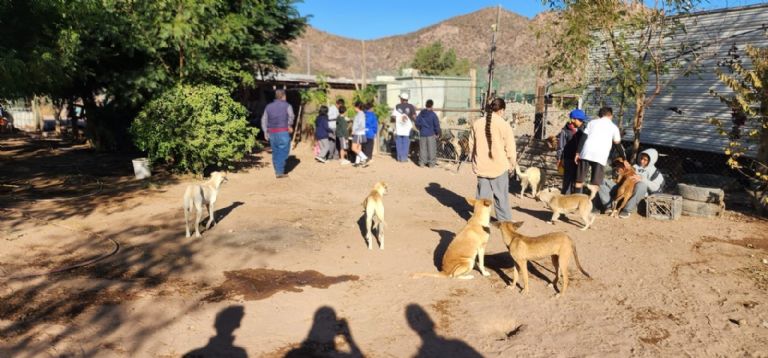 Perros y niños convivieron durante la entrega de alimento