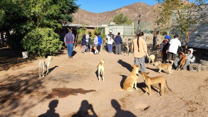 Estudiantes de primaria recolectan 300 kilos de croquetas para refugio en Empalme 