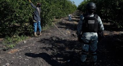 Asesinan a propietario de una empacadora de limón en Michoacán; sería por extorsión